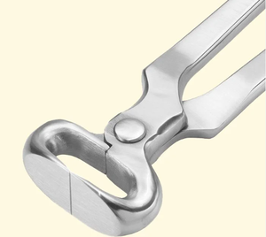 Pince à sabots pour fermeur de chevaux, 12 pouces, acier inoxydable, meilleure qualité, prix de gros, fournisseur du Pakistan - Product Image 3