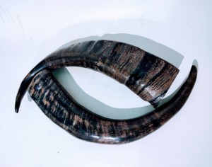 Jarra Vikinga Clásica Grabada a Mano de Cuerno de Búfalo para Fiestas y Eventos, Jarra de Cerveza con Acabado Vintage, Vaso de Cuerno, Accesorio de Bar - Product Image 4