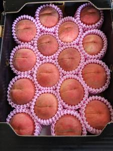 Mejores Precios, Calidad Fantástica, Sabor Exótico Japonés, Jugosidad, Dulzura, Frutas Aromáticas, Durazno - Product Image 5