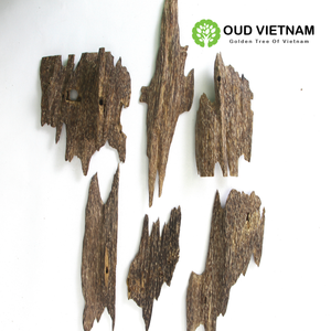 Top haute qualité fourmi Oud Bakhoor brûleur pleine résine d'huile avec une odeur forte et durable encens pur naturel Oud Vietnam - Product Image 6