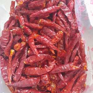 Chiles Rojos Secos Picantes Naturales de Vietnam, sin Tallo, Calidad Premium, a Granel, Calidad de Exportación - Product Image 6