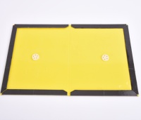Piège à colle pliable jetable haute efficacité avec logo personnalisé