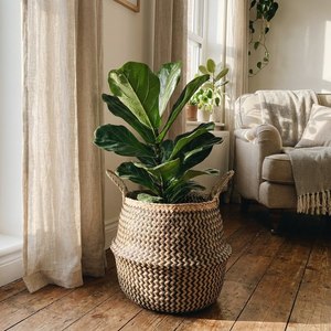 Panier de rangement en jonc de mer fait main, panier ventru pour l'organisation de la maison, fournisseur pour commandes en gros avec personnalisation - Product Image 3