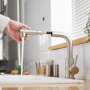 Rubinetto da Cucina Estraibile in Nichel Spazzolato con Doccetta, Rubinetto per Mini Bar e Lavello, e Rubinetto da Bagno di Kitchen Faucets - Product Image 4