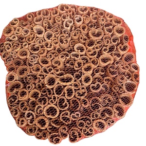 Best <b>Selling</b> And High Quality 100% Natural Vietnam Sticks Cinnamon Cassia / Cinnamon Roll - Product Image 1