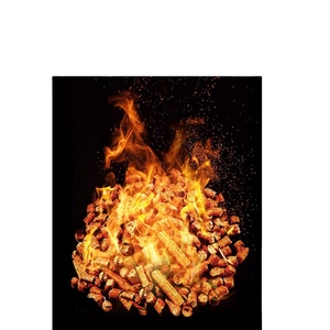 Pellets de Madera de Pino Aprobados por la Norma A1 (ZA) 15 kg Ecológicos 1% Ceniza 6400J Calorías Forma de Barra Calefacción Cocina Sin Humo 12% - Product Image 2