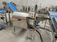 Professionele Gaasband Knoflook Groentedroger Oven Ui Droogpoeder Machine