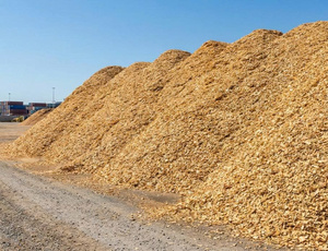 HKD NGUYEN HONG HANH 89 Virutas de Madera Natural a Granel para Calderas de Biomasa y Producción de MDF, Fabricante OEM - Product Image 2