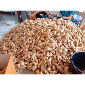 PIELES DE RATÁN, VENTA CALIENTE NÚCLEO DE RATÁN DIRECTO DE LA FÁBRICA DE VIETNAM CAÑA DE RATÁN - Product Image 2