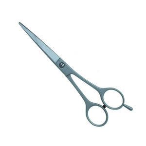 Ciseaux de coiffeur professionnels en acier inoxydable, 6,0 pouces, outils de coiffure, ensemble de ciseaux de qualité supérieure - Product Image 1