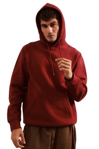 Sudaderas con capucha de gran tamaño de algodón 100% de calidad, ropa de calle de peso pesado con impresión personalizada para temporadas de invierno, sudaderas con capucha personalizadas Unisex - Product Image 4