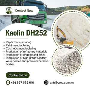 Vietnam DH252 poudre de kaolin calciné de haute qualité industrielle minérale réfractaire céramique peinture caoutchouc papier plastique exportation en vrac - Product Image 1