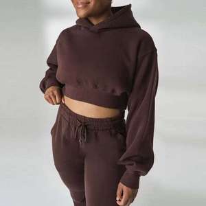 Custom Logo Women Tracksuits Cropped Hoodie Set Blank Sweatpants and Hoodie Set Crop Hoodie Pants Suit Women's - Product Image 2