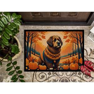 Briard Fall Doormat Non-Slip Washable Low Pile 24H X 36W Indoor and <b>Outdoor</b> Entryway <b>Mat</b> for Front Door - Product Image 3