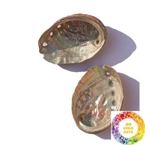 Bulk Whole <b>Abalone</b> <b>Shell</b> Natural Iridescent <b>Shell</b> Wholesale Supplier for Craft Decoration Handmade Products and Export - Product Image 3
