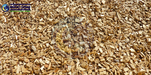 Copeaux de bois de pin NGOC CHAU, taille et emballage personnalisables, origine Ho Chi Minh City - Product Image 4