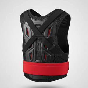 Protection dorsale professionnelle pour vestes de moto, design léger et durable pour les aventures de tourisme - Product Image 2