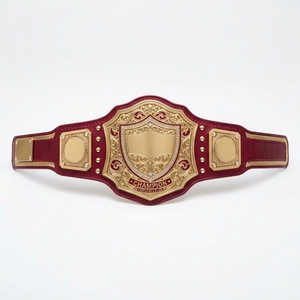 Ceinture de championnat sportive personnalisée, ceinture de récompense pour la lutte et la boxe, plaques métalliques, sangle en cuir, logo gravé, design personnalisé - Product Image 5