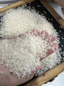 Arroz Calrose Premium Nishiki, Grano Mediano, Calidad Japonica, Ideal para Sushi y Cocina Asiática, Marca Blanca Disponible - Product Image 6