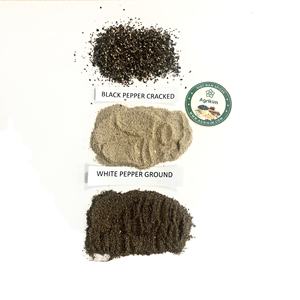 Pimienta Negra en Polvo, Molienda Fina, Exportación a Granel desde Vietnam, Contacto del Proveedor: +84 35 254 2206 - Product Image 6