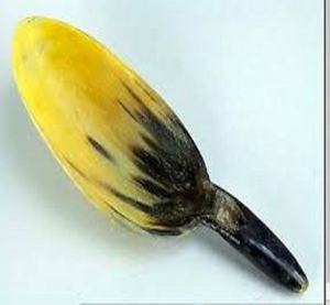 Cuillère de service en corne de bufflonne naturelle style occidental pour restaurant – Couverts de table en corne de bufflonne et de bœuf - Product Image 5