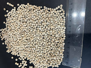 Pimienta blanca vietnamita 630G/L |   Grano entero y crudo |   Empaque de 25-50 kg PP |   Precios Competitivos |   Suministrado Directamente de Fábrica (Joice) - Product Image 4