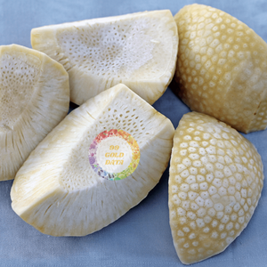 MÁS VENDIDO AL POR MAYOR FRUTA DE PAN CONGELADA EN BOLSA AL VACÍO A GRANEL SIN OGMES CON ETIQUETA LIMPIA COMUN CALIDAD DE EXPORTACIÓN - Product Image 1