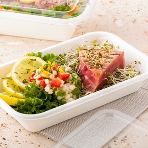 Nouvel Arrivage – Contenant alimentaire en bagasse de 1000 ml, boîte écologique jetable non blanchie de forme rectangulaire pour la restauration rapide et les restaurants - Product Image 1