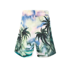 Pantalones Cortos Deportivos Casuales para Hombre, 100% Poliéster, Transpirables, Ecológicos, de Secado Rápido, Antiarrugas, Impermeables, Cintura Media con Cordón Ajustable - Product Image 4