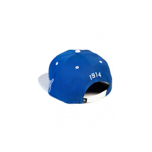 หมวกปักโลโก้ของสมาคมฟิ เบต้า ซิกมา อินค์ มหาวิทยาลัย - Product Image 3