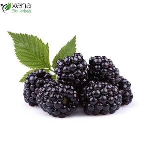 Exportador Directo de Extracto de Aceite de Fruta de Mora Soluble, Extracto Vegetal Premium, Suministro OEM - Product Image 1