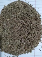 Grande Vente : Graines de Cumin Séchées AD de Haute Qualité à Bas Prix, Granulés 100kg – Fournisseur Premium, Vente en Gros, Fabrication, Exportation Allemagne 2