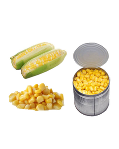 Deliciosos maíz enlatado para bebés, al por mayor, verduras enlatadas dulces, alimentos listos para comer, verduras enlatadas, maíz para bebés. - Product Image 3