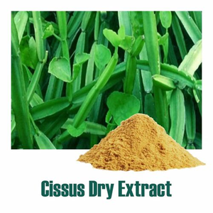 High-Purity Cissus Quadrangularis Powder 20% Ketosterones - Product Image 2
