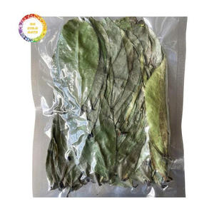 Hojas de Guanábana Secas de Primera Calidad para Té de Hierbas, Medicina Tradicional y Formulaciones de Bienestar Natural - Product Image 4