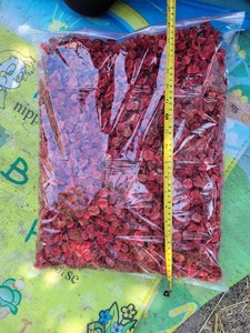 ดอกบุชวิลโลว์แห้งสีธรรมชาติ วัตถุดิบสำหรับทำพอตปูรี บรรจุถุง 1 กก. - Product Image 6