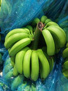 กล้วยคาเวนดิช G9ออร์แกนิกจากเวียดนามกล้วยส่งออกสีเขียวและสีเหลืองมีโลโก้ออกแบบได้ตามต้องการราคาขายส่งโดย99GD - Product Image 4