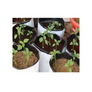 Sacs de plantation pour jardin avec construction en tissu respirant pour légumes, herbes, fleurs et plantes de pépinière - Product Image 3