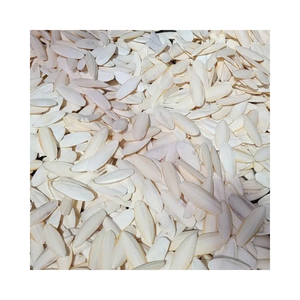 Os de Seiche Naturels Séchés pour Parakeets, Cockatiels, Budgies et Pinsons - Product Image 2