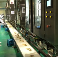 Machine d'emballage aseptique entièrement automatique pour emballages souples, machine d'emballage de sachets à scellage latéral horizontal