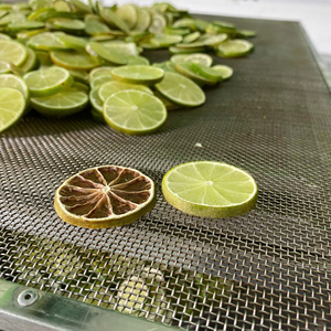Rodajas de Limón y Lima Deshidratadas Premium 100g Cítricos Naturales Deshidratados para Té y Repostería Proveedor a Granel OEM Vietnam ANGLE - Product Image 1