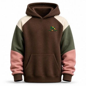 Sweat-shirt à capuche pour homme, color block, décontracté, manches raglan, poche kangourou, logo personnalisé OEM - Product Image 5