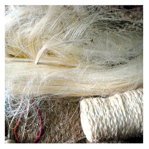 Fibra de Sisal Natural Industrial para Cuerdas, Cordones y Aplicaciones Agrícolas - Product Image 6