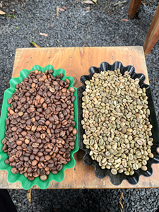 กาแฟโรบัสต้าดิบ เวียดนาม DHPONE ออร์แกนิค เกรด AA สีธรรมชาติ รสชาติกลาง 100% บริสุทธิ์ ปราศจากสารก่อภูมิแพ้ บรรจุภัณฑ์แบบถุง ทั้งเมล็ด - Product Image 5