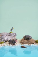 [2,9] Branta Canadensis Mini decoración de jardín terrario accesorios figuritas de resina en miniatura