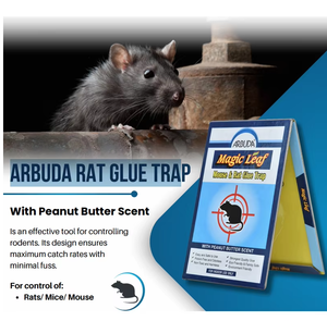 Arbuda Piège à colle pour rats en gel plastique écologique de qualité supérieure avec plaque adhésive puissante pour le contrôle des rongeurs en intérieur - Product Image 2