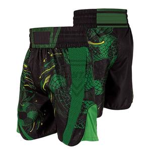 Shorts de combat MMA pour hommes, imprimé dragon vert, séchage rapide, polyester, vêtements d'arts martiaux mixtes, coupe régulière, taille adulte - Product Image 2