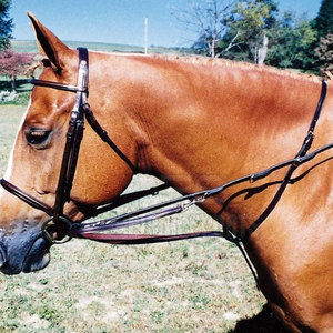 Nueva Martingala para Caballos con Acabado Premium, Diseñada para Comodidad y Rendimiento Seguro - Product Image 3