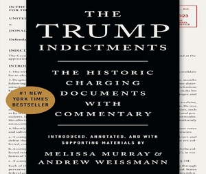 I processi giurisdizionali di Melissa Murray, libro in brossura in inglese, analisi <span class=keywords><strong>politica</strong></span>, libro di diritto e governo - Product Image 3