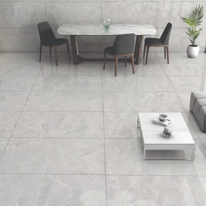 กระเบื้องปูพื้นและผนังลายพอร์ซเลนสีเงินทันสมัย ผิวด้าน ทนกรด สำหรับตกแต่งภายใน วิลล่า โรงพยาบาล ขนาด 60x120 ซม. - Product Image 1